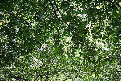 卡普空表示《怪物猎人：荒野》正式版状态会更好